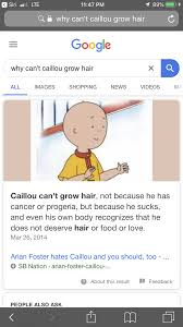 She has long, curly black hair and wears a purple shirt. Meme Book Caillou Hair Wattpad