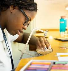 Celebrating The Future Is Baldwin by The Baldwin School