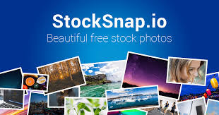 22,000+ free stock photos | 89 searchable categories. Free Stock Photos And Images