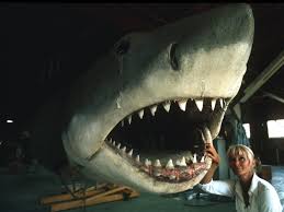 Please refer to the attorney user guide link that answers many common questions: The Woman Who Captured Jaws Then Worked To Undo The Damage The New York Times