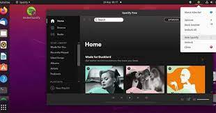 Record from spotify in an easy manner, this tool. How To Minimize Spotify To The System Tray In Linux
