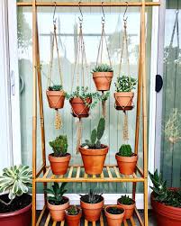 Taman yang indah pasti akan membuat para penghuninya merasakan kenyamanan. 9 Tips Menata Koleksi Tanaman Di Dalam Dan Luar Rumah Dengan Rak