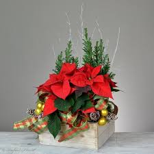 Pin On Christmas Floral Designs