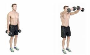 Hold the dumbbells across the thighs horizontally, palms facing back toward the thighs. Which Is Better Barbell Front Raise Or Dumbbell Front Raise Quora