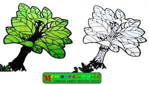 Jual isi 300 plus benih biji bibit sayur bayam bayem hijau di lapak atla agrikultur atlaatla Gambar Bayam Kartun Untuk Mewarnai Gambar Warna Bayam