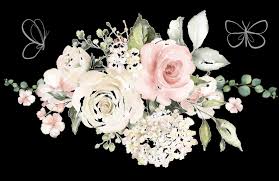 Claudia Kite Obituary (1946