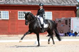 Maybe you would like to learn more about one of these? Bon Coeur