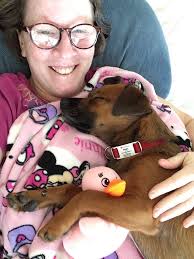 Max's adventures in New Hampshire