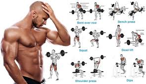 full body workouts fitness workouts