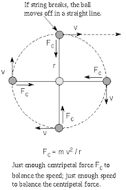 Circular Motion Images Explained Matematica Fisica Ciencias