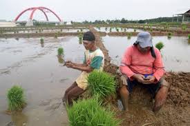Siaran bulanan monthly release perangkaan tenaga buruh, malaysia, januari 2015 labour force pasaran buruh di malaysia pada januari 2015. Kabar Baik Upah Buruh Tani Naik Rp55 677 Sehari