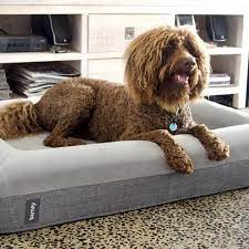 pin on ideas for the fur kids