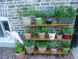 Zu einem mediterran gehaltenen garten passen kräuter wie lavendel, salbei, rosmarin, currykraut, thymian und viele mehr. Krautergarten Anlegen Was Darf Auf Ihrem Balkon Nicht Fehlen