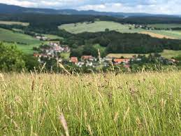 | Die Burgruine in Schalkau: Die Schaumburg