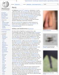 File:Wikipedia-DE-Screenshot-Article-Penis-blurred.png - Wikimedia Commons