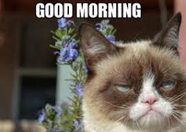 Funny Good Morning Facebook Status Quotes | Funny Pictures, Quotes ... via Relatably.com