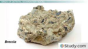 Biogenic sediments and sedimentary rocks. Detrital Chemical Sedimentary Rocks Definition Differences Video Lesson Transcript Study Com