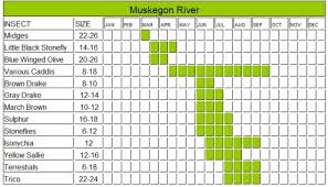 muskegon river hatch chart where to fly fish in america