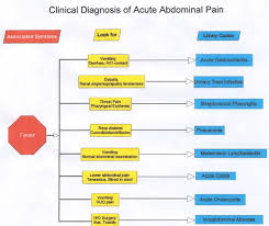 Image result for PECARN Pediatric Intra-Abdominal Injury Algorithm