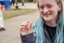 Kellogg Community College added photos to the album: 2025-26 Women's  Volleyball Team