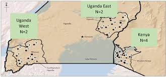 Therefore, there is no risk of contracting hiv from eating food. Dimensions Of Hiv Related Stigma In Rural Communities In Kenya And Uganda At The Start Of A Large Hiv Test And Treat Trial