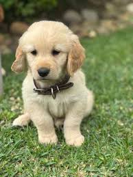 Listings of Alex Bolaños (17061674) in Costa Rica (page 1/1)