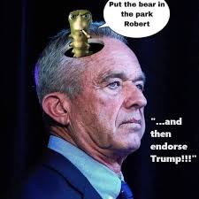 The Complete 2024 Orange Juice Voters' Guide!