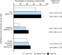 Image result for Start Back Screening Tool