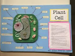 This science quiz is called 'cells' and it has been written by teachers to help you if you are studying the subject at middle school. School Of The Blessed Sacrament