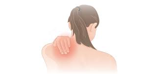 Image result for Shoulder Pain