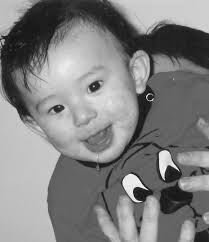 ABC Amber PDF Merger