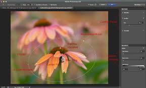 Photoshop Cs6 Blur Gallery Tutorial Digital Photography Review