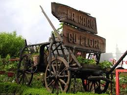 Asociaţia judeţeană de turism sibiu nu intermediază şi nu garantează rezervarea efectivă. Caru Cu Flori Sibiu Sibiu Facebook