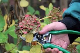 (basierend auf total visits weltweit, quelle: Garten Und Landschaftsbau Union Sozialer Einrichtungen Wfbm Berlin