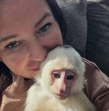 Which one is more docile, Black cap capuchins or Black and white Capuchins?