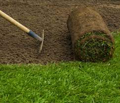 Sod pallets cover between 400sf and 500sf. Sod Installation Cost Calculator With Avg Sod Prices 2021