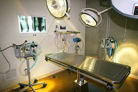 Serving rolling hills, palos verdes, and torrance area pets with care and compassion since 1983. Photos Veterinarian In Chula Vista Ca Rolling Hills Pet