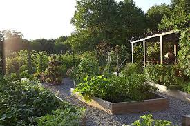 Or create a wide channel of raised borders, with gravel paths for access either side. How To Turn You Backyard Garden Into A Productive One Without Breaking Your Bank Or Your Back