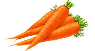 Carrot (కారట్)