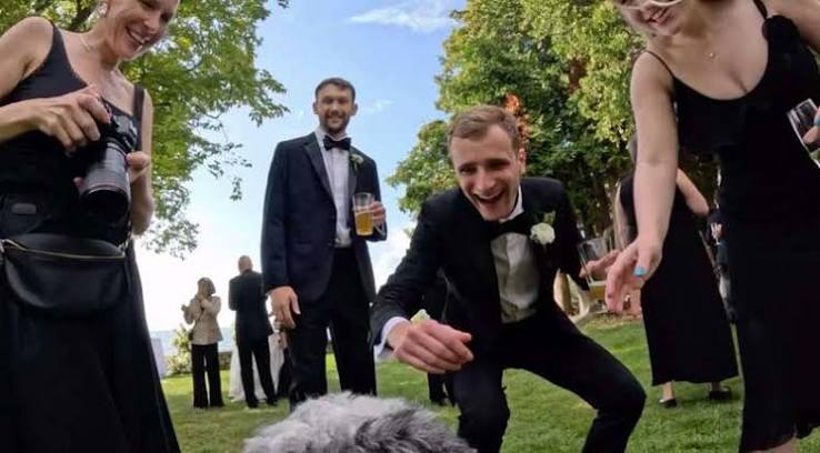 Couple Straps GoPro Camera To Their Dog At Wedding — And His POV Is Priceless - The Dodo
