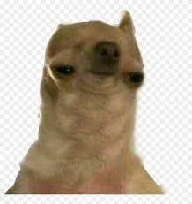 There are all sorts of stickers: Doggo Sticker Doggo Meme Clipart 1388787 Pikpng