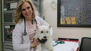 Pet animal hospital and research institute. Research University Of Wisconsin School Of Veterinary Medicine