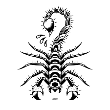 New The 10 Best Home Decor With Pictures Heres A Drawing Of A Scorpion I Made Traditional Tattoo Art Traditional Tattoo Design Traditional Black Tattoo
