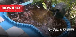 Filter kolam ikan | gak ribet!!! 2 Cara Praktis Cat Kolam Ikan Agar Tidak Bocor Produk Terbaik Sbj
