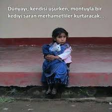 Ruya Adli Kullanicinin Insan Panosundaki Pin Hayvan Haklari Guzel Soz Gobek Egzersiz