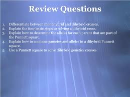 Work out the cross up to f2 generation. Ppt Dihybrid Crosses Powerpoint Presentation Free Download Id 1784184
