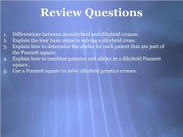 When crossing an organism that is homozygous recessive for a single trait with a heterozygote, what is the. Ppt Dihybrid Crosses Powerpoint Presentation Free Download Id 1784184