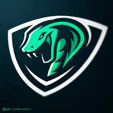 Twitter Graphic Design Logo Sport Poster Design Game Logo Design