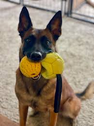 Mahogany Gamble (@mahoganymig) • Instagram photos and videos