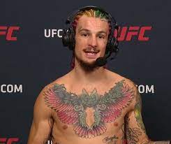 Sean o'malley breaking news and and highlights for ufc 260 fight vs. Going To Try And Get One More In This Year Sean O Malley Hopes To Come Back In The Ring Soon The Sportsrush